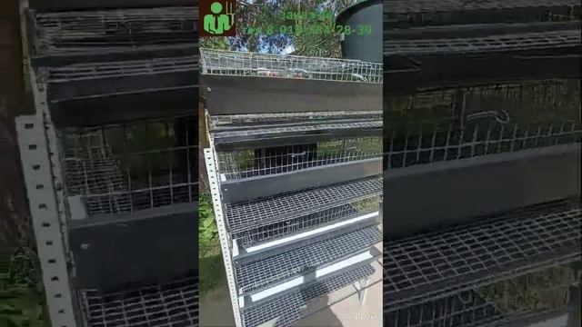 Клетка для перепелов своими руками на 120 голов. #перепе смотреть онлайн