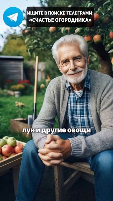 Внесите ЭТО 1 раз в 50 Лет в Огород и ЗАБУДЬТЕ о болезнях смотреть онлайн