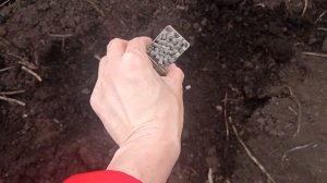 #удобрения АЗОФОСКА #сад #огород #подкормка #груши