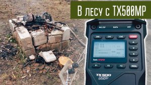 Прогулка по лесу, Discovery TX-500MP и антенна кусок провода.
