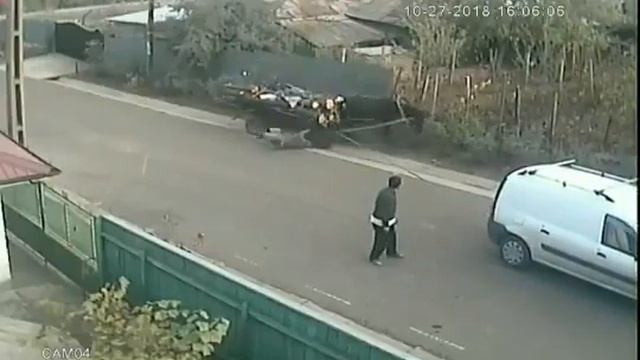 орк вышел из запоя... и охуел! смотреть онлайн