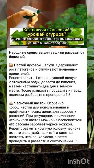 какие средства применить для защиты рассады? смотреть онлайн
