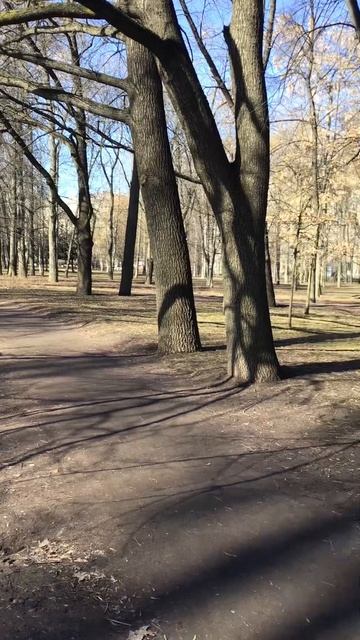 Санкт-Петербург. 10.04.2025. Парк Победы. Пейзажный пруд. Ви смотреть онлайн