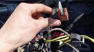 Замена фишки ЭБУ Рено Меган 2.