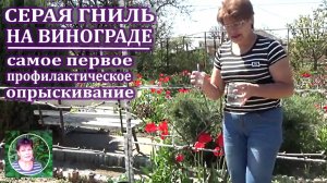 Обработка винограда по 2-3 листу от серой гнили и основных болезней.