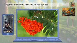 Б6 23 Прорастание семян