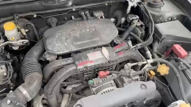 Двигатель SUBARU EJ253, 2500 куб.см  № E404661