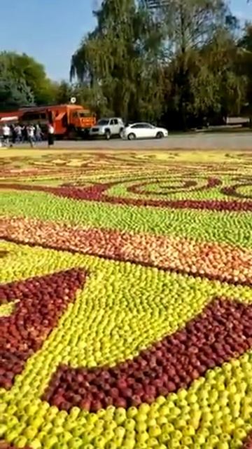 Нальчик в Книге Рекордов Гиннесса-самая большая клумб