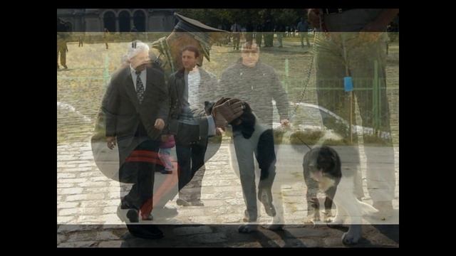 Бойко Борисов и двете новородени кученца. Следват стари моменти.