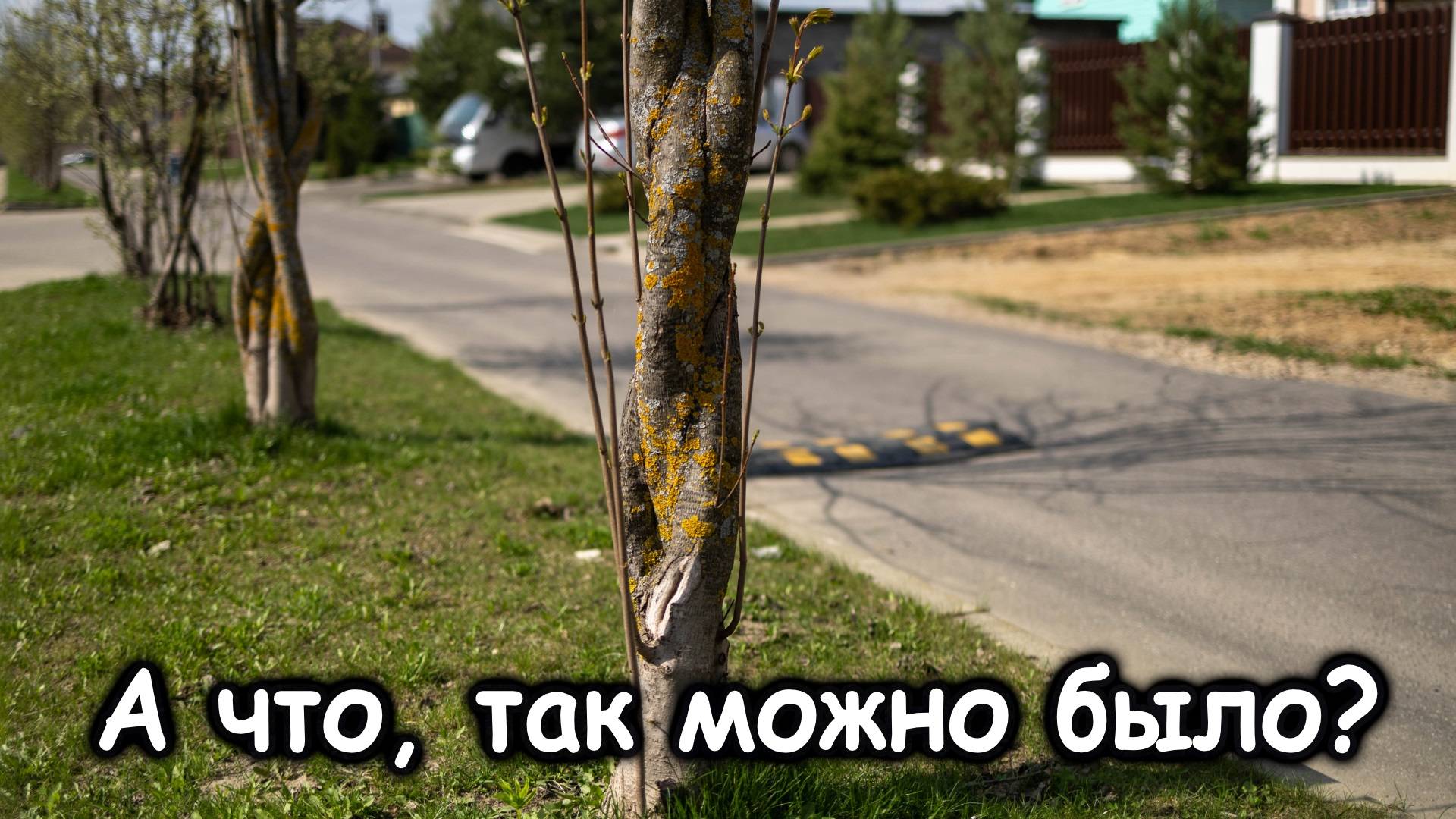 сад огород цветник