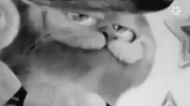 Шиза убивает людей! часть первая