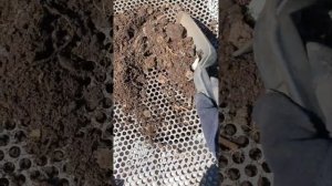 #тетяоля Компостная куча из шифера #компост #шифер #изт