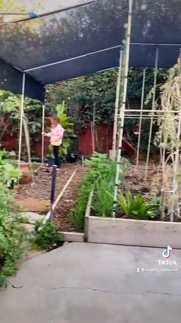 Огород в США разрешён смотреть онлайн