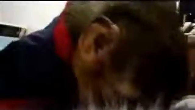 Прикол с Обезьяной и Котом Кто сказал что коты не вкусные Видео приколы кошак с обезьяной смотреть онлайн