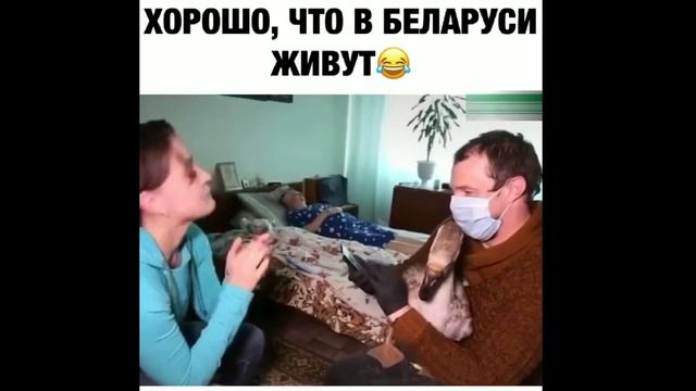смотреть приколы🤣! прикольная видео нарезка👌👍🎉! смотреть онлайн