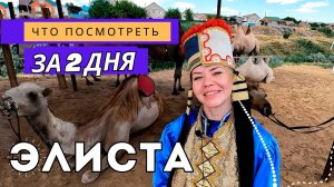 Элиста: верблюды, Будда и степь