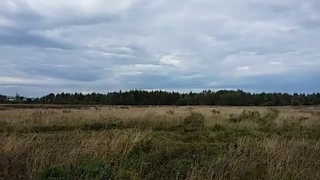 Аэродром Пирогово 16.08.15