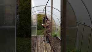 Укрепляю крышу теплицы от тяжести снега . Подзимний по