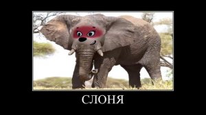 мимимишки+МиМиМишки + ШИЗА =