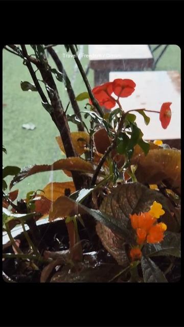 Самая красивая смотровая площадка/ Тайланд VLOG