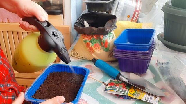 ДОМАШНИЙ ВЛОГ//СЕЕМ СЕМЕНА//ОБОР МОЕЙ РАССАДЫ/ / смотреть онлайн