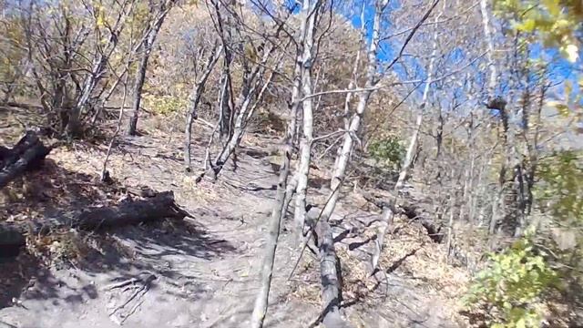 Вело экстрим 