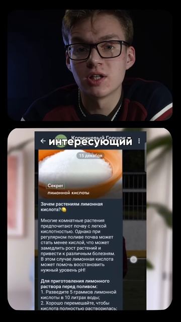 Как укоренить любой цветок?🌱 #цветы #растения #комнат? смотреть онлайн