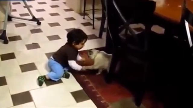 kids funny приколы с детьми смотреть онлайн