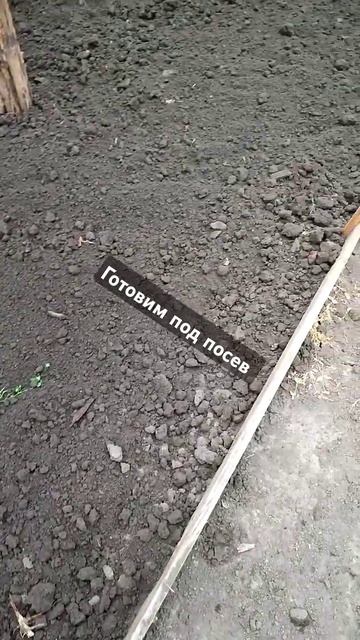 Готовим под посев #тепличныйбизнес #огород смотреть онлайн