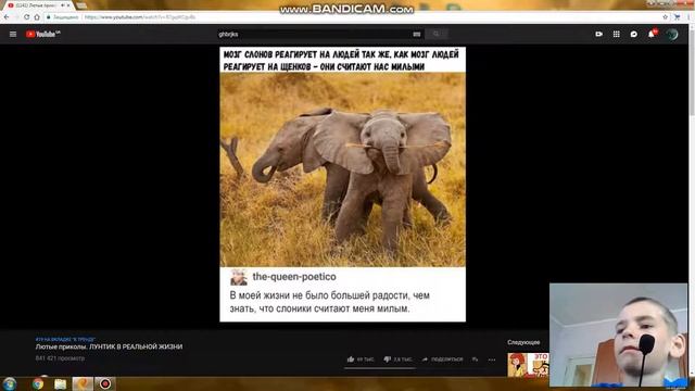 Просмотр приколов Макса Максимава смотреть онлайн