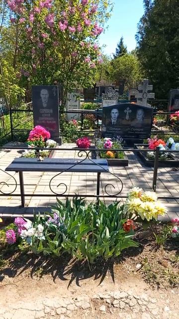 кладбище, могилы, цветы,вид