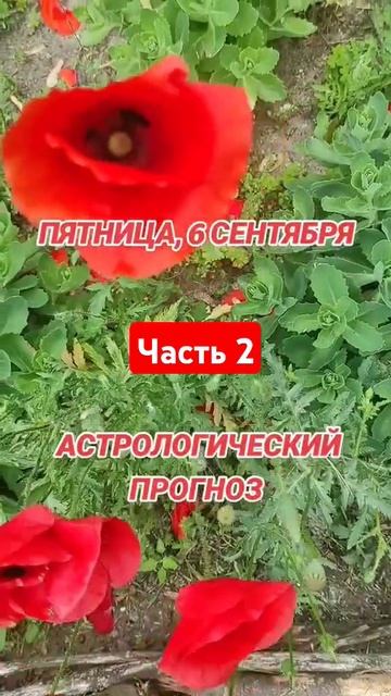 гороскоп на 6 сентября по знакам зодиака #астрология #з смотреть онлайн