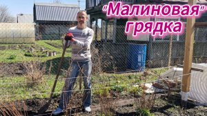 «Малиновые» грядки, или как сделать грядки для малины.