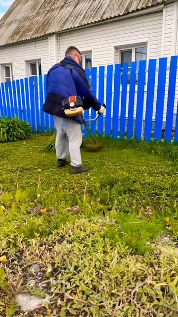 Иногда проще молчать #огород #дача #деревня #своимирук? смотреть онлайн