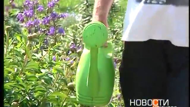 Законопроект о садоводстве: какие поправки? смотреть онлайн