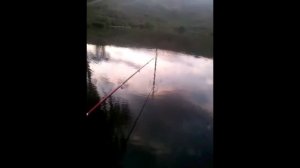 Рыбалка!ловля на мини пруду