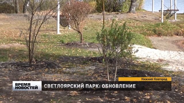 В Светлоярском парке высадили новые деревья взамен те смотреть онлайн