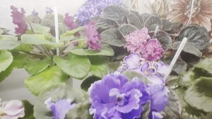 Когда устала паковать посылки 🤗🌸🌺☘️