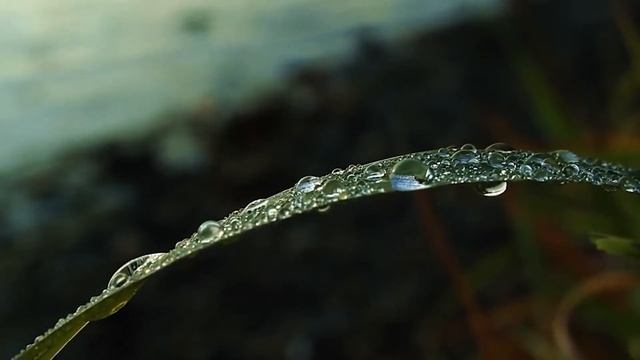 Аудитория. Базы для создания Youtube канала.