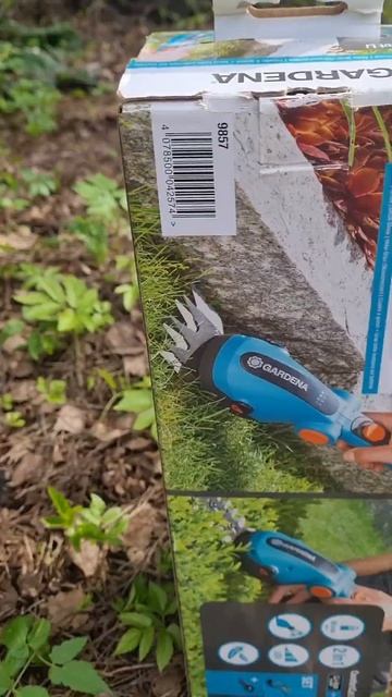 Сад Огород! У нас ПОБЕДИТЕЛЬ!🏆❣️🤝#сад #ок #огород #Да смотреть онлайн