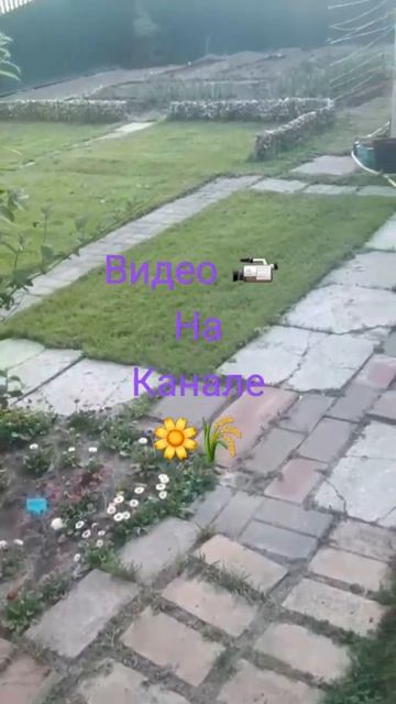 📢#своимируками #сад от #огород а отделила💚 смотреть онлайн