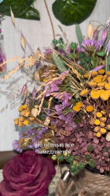 Ведьминский кухонный уголок с сувенирами из разных ме смотреть онлайн
