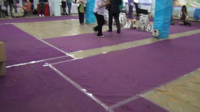 00132   Звездное шоу  Екатеринбург 19.04.2015