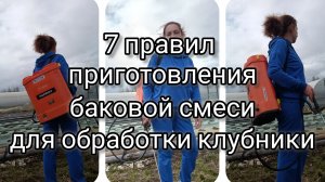 7 правил приготовления баковой смеси для обработки клубники