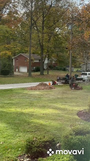 Lawn care. Cleaning of leaves. Уход за газоном. Уборка листьев и пок?