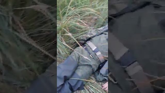 Накрякался или как спасти животных на охоте смотреть онлайн