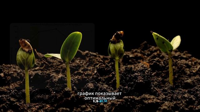 🎥 Люцерна от А до Я: секреты успешного урожая! 🌾 смотреть онлайн