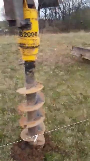 Посадка сада!#сад #черешня #беларусь # рек