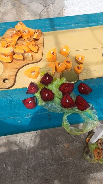 экспериментальная посадка #шортс #юмор #история смотреть онлайн