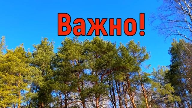 30 марта Алексеев День. Что нельзя делать 30 марта. Народ смотреть онлайн